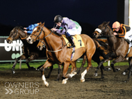 Proclaimer winning at Kempton - 6 April 2022