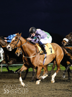 Proclaimer winning at Kempton - 6 April 2022