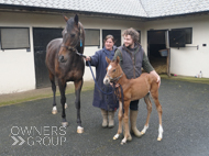 Miranda and her Cracksman filly - 25 March 2024