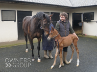 Miranda and her Cracksman filly - 25 March 2024
