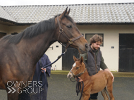 Miranda and her Cracksman filly - 25 March 2024