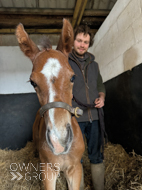 Cracksman ex Miranda filly - 25 March 2024