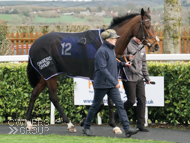 Miranda at Wincanton - 7 March 2019