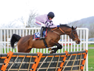 Miranda at Wincanton - 7 March 2019