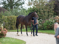 Miranda at Paul Nicholls' visit - 26 September 2021