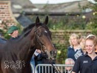 Miranda at Paul Nicholls' visit - 10 October 2021