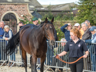 Miranda at Paul Nicholls' visit - 10 October 2021