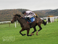 Wild Max at Taunton - 14 November 2019