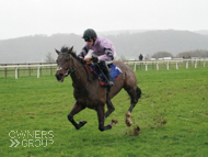 Wild Max at Taunton - 12 December 2019