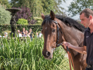 Wild Max at Paul Nicholls' visit - 26 September 2021