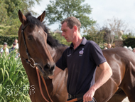 Wild Max at Paul Nicholls' visit - 26 September 2021