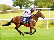 Paris Dixie at Chepstow - 9 October 2020