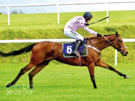 Paris Dixie at Chepstow - 9 October 2020