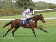 Paris Dixie at Chepstow - 9 October 2020