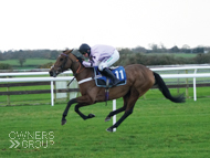 Paris Dixie at Wincanton - 19 November 2020