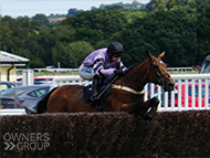 Paris Dixie at Newton Abbot - 23 July 2023