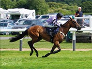 Paris Dixie at Newton Abbot - 23 July 2023