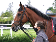 Chez Hans at Newbury -8 July 2020