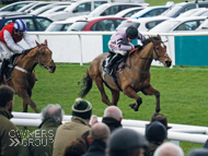 Calva D'Auge at Plumpton - 10 February 2020