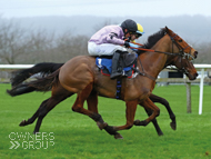 Calva D'Auge at Wincanton - 30 January 2020