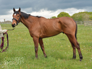 Calva D'Auge - 2 May 2019