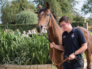 Calva D'Auge at Paul Nicholls' visit - 26 September 2021