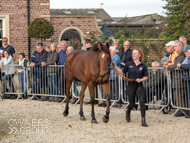 Calva D'Auge at Paul Nicholls' visit - 10 October 2021