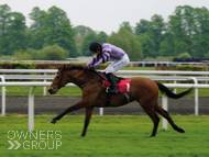 Calva D'Auge at Kempton - 2 May 2022