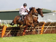 Calva D'Auge at Plumpton - 4 November 2019