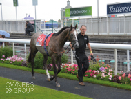 Malvern at York - 21 August 2019