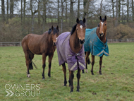 The Greater Good (right), Calva D'Auge (front) and Divine Gift (left) - 23 February 2023