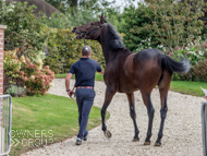 Stage Star at Paul Nicholls' visit - 26 September 2021