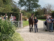 Stage Star at Paul Nicholls' visit - 26 September 2021