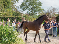 Stage Star at Paul Nicholls' visit - 26 September 2021