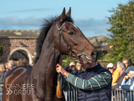 Stage Star at Paul Nicholls' visit - 10 October 2021