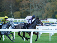 Stage Star at Newbury  - 26 November 2021