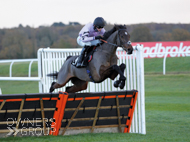 Stage Star at Newbury - 26 November 2021