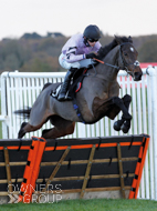 Stage Star at Newbury - 26 November 2021