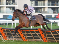 Stage Star winning at Newbury - 29 December 2021