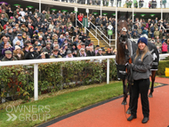 Stage Star after winning at Cheltenham - 28 January 2023