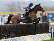 Stage Star on the way to victory at the Cheltenham Festival - 16 March 2023