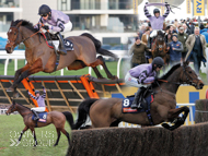 Montage of Stage Star's Grade 1 wins - 16 March 2023