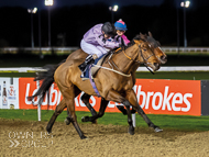 Asdaa at Wolverhampton - 10 February 2020