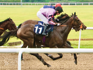 Kodiac Pride winning at Wolverhampton - 12 August 2020