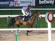 Divine Gift at Southwell - 19 December 2019