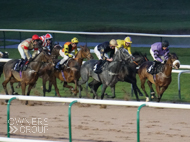 Divine Gift at Southwell - 19 December 2019