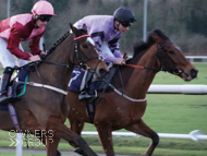 Divine Gift at Wolverhampton - 15 January 2020