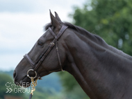 Farouk De Cheneau at EquiPrep - 17 June 2021