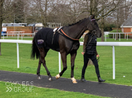 Farouk De Cheneau at Kempton - 14 March 2020