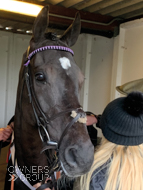 Farouk De Cheneau at Kempton - 14 March 2020